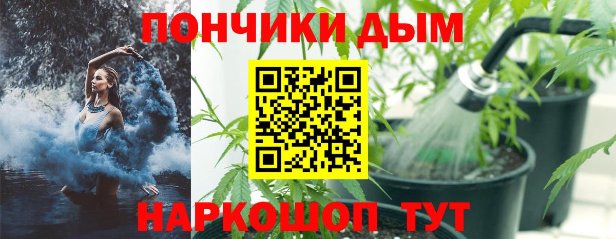 Шишки марихуана White Widow  Бошки Шишки SATIVA & INDICA  Вход с VPN  Мирный  Канабис семена  МАРИХУАНА планчик 